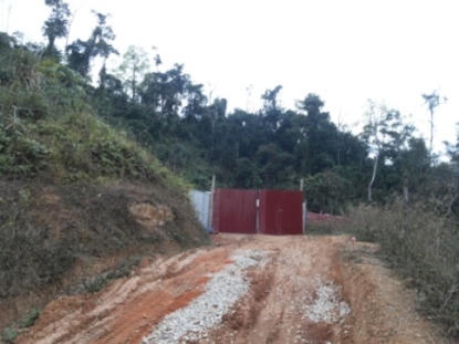 Bắc Kạn chậm xử lý sai phạm của xưởng gỗ “nhốt” phó chủ tịch huyện